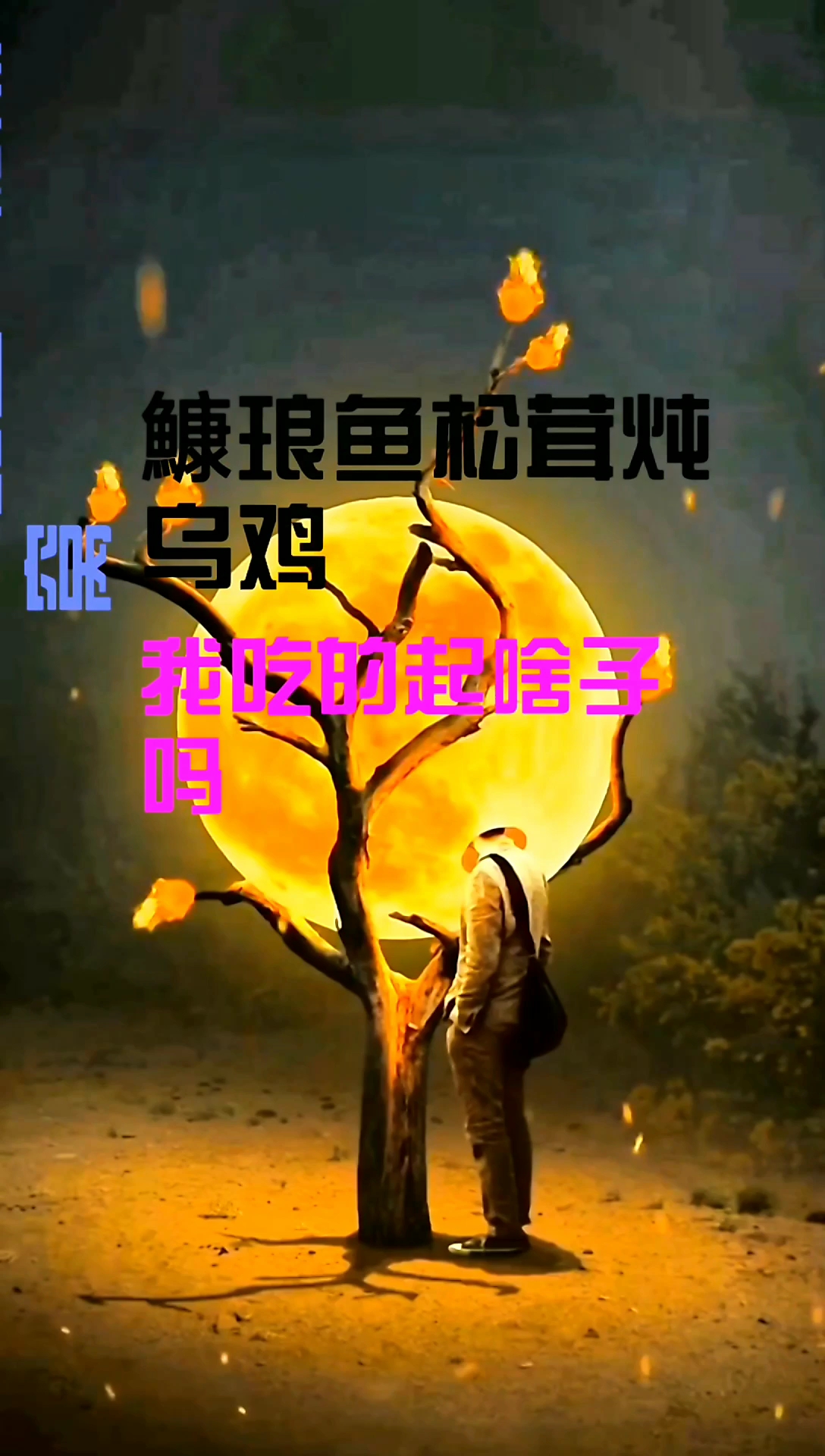 我什么都吃不起