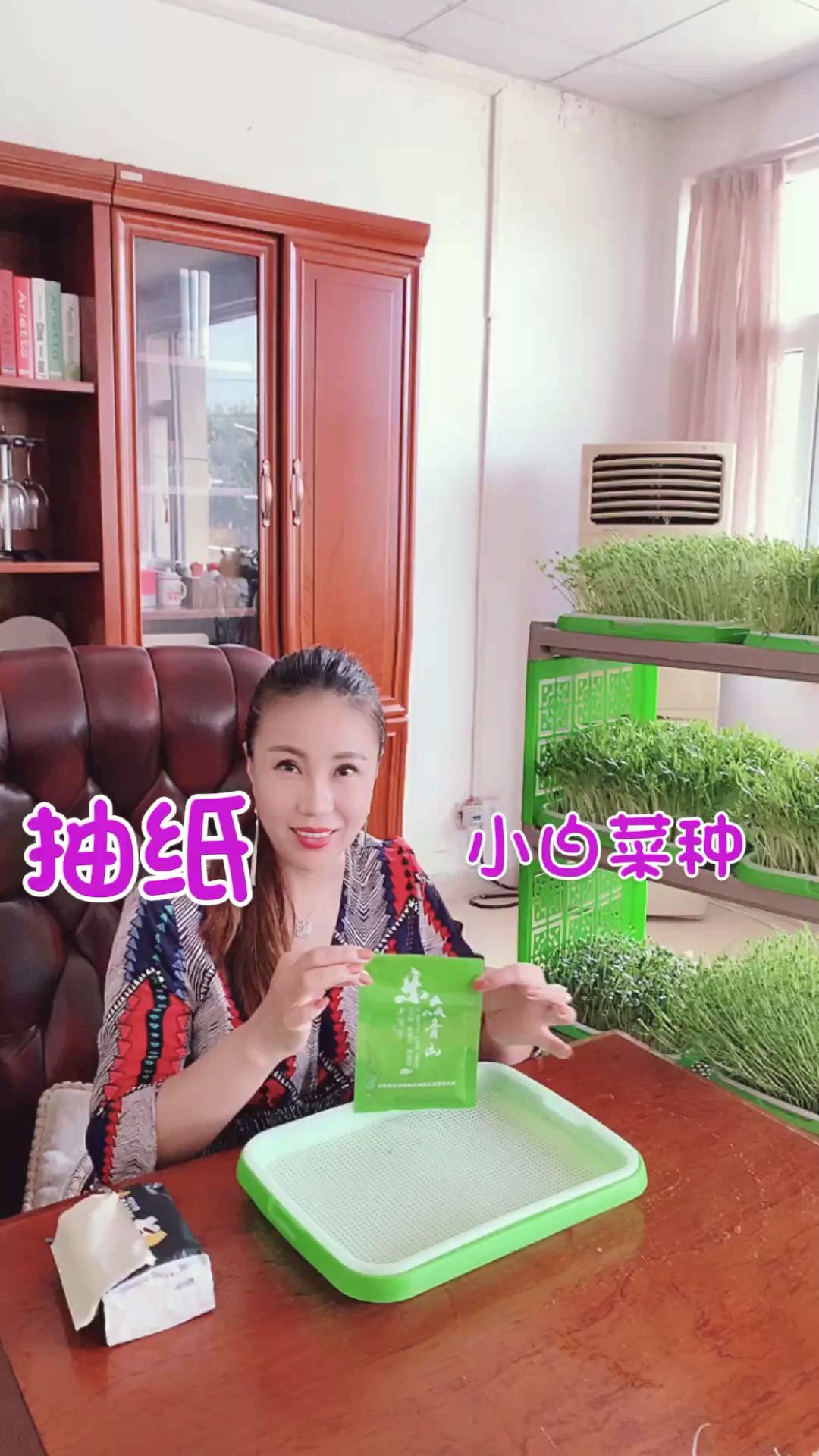 #夏天就要这么过#在家种小白菜,七天就可以吃啦!你学会了吗?