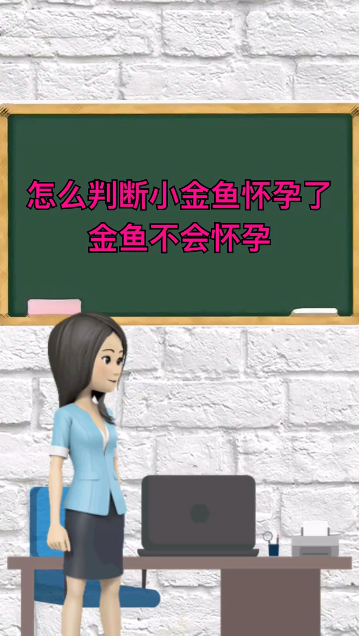 怎么判断小金鱼怀孕了?