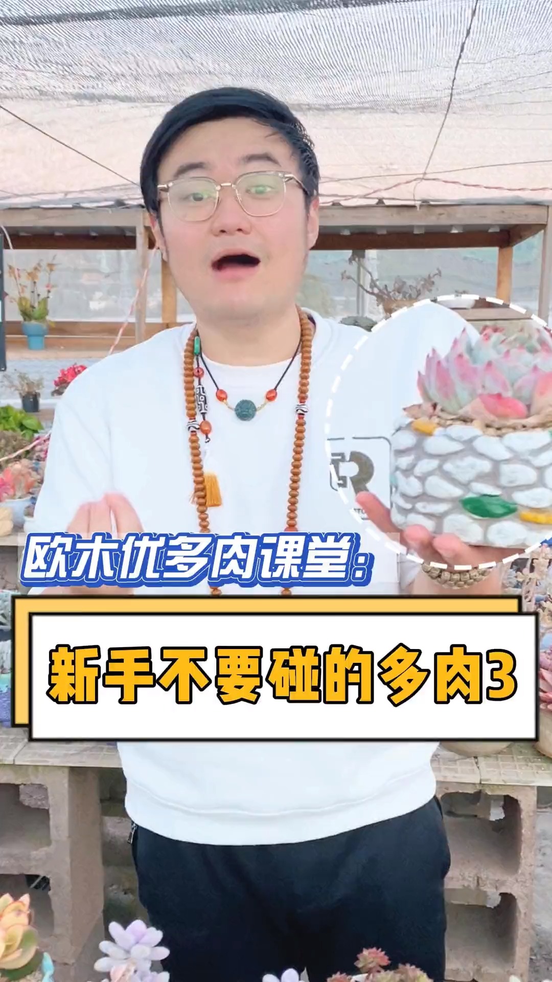 #有一种可爱叫多肉!#新手不要碰的多肉第三弹来了!学会的点赞收藏#多肉#多肉植物#多肉养护