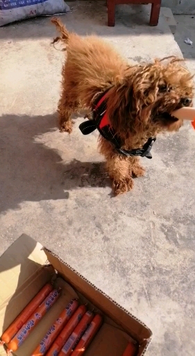 一箱鸡肉火腿肠也快吃完了(☆☆)
