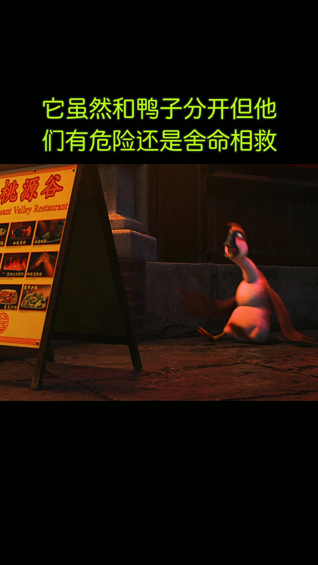 #冶愈#第1集:大雁虽然和小鸭子分开了,但看到他们有危险还是拼命救它们,带大家看尽动漫
