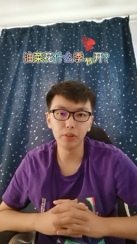 油菜花什么季节开?