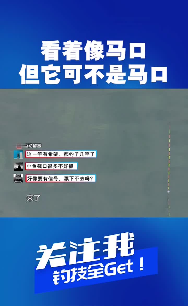 这条鱼不是马口!不是马口!是桃花鱼!