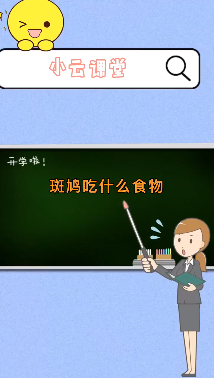 斑鸠吃什么食物?