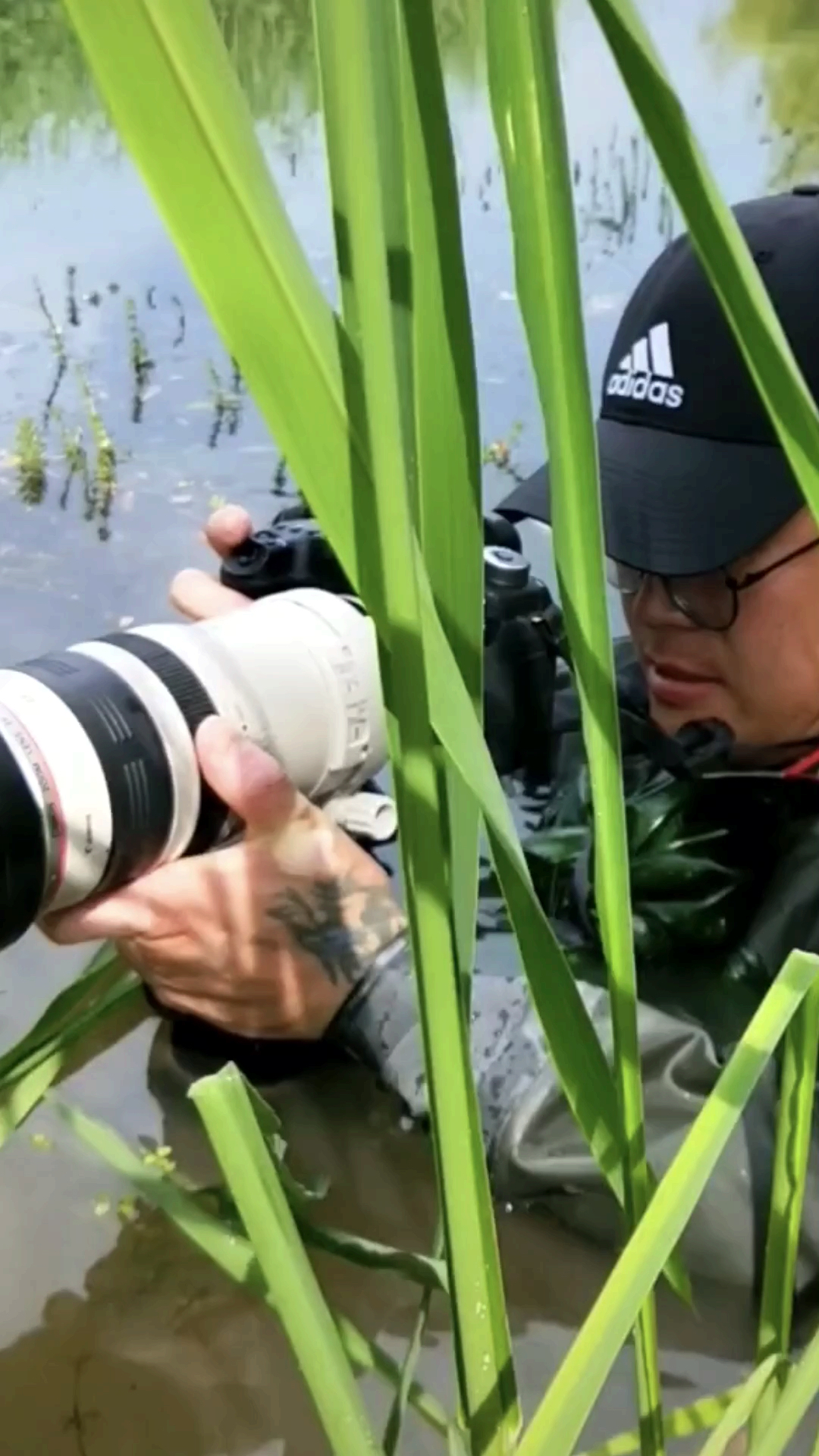 #史上最热夏天#给鳄鱼拍写真照片