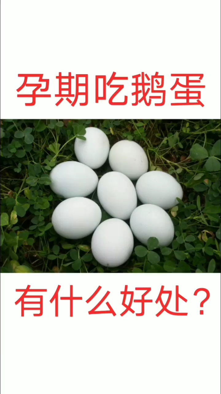 孕期吃鹅蛋有什么好处?