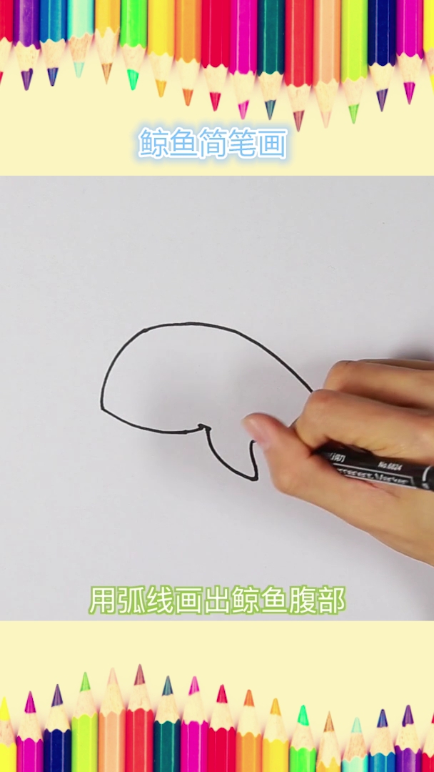画一只大鲸鱼