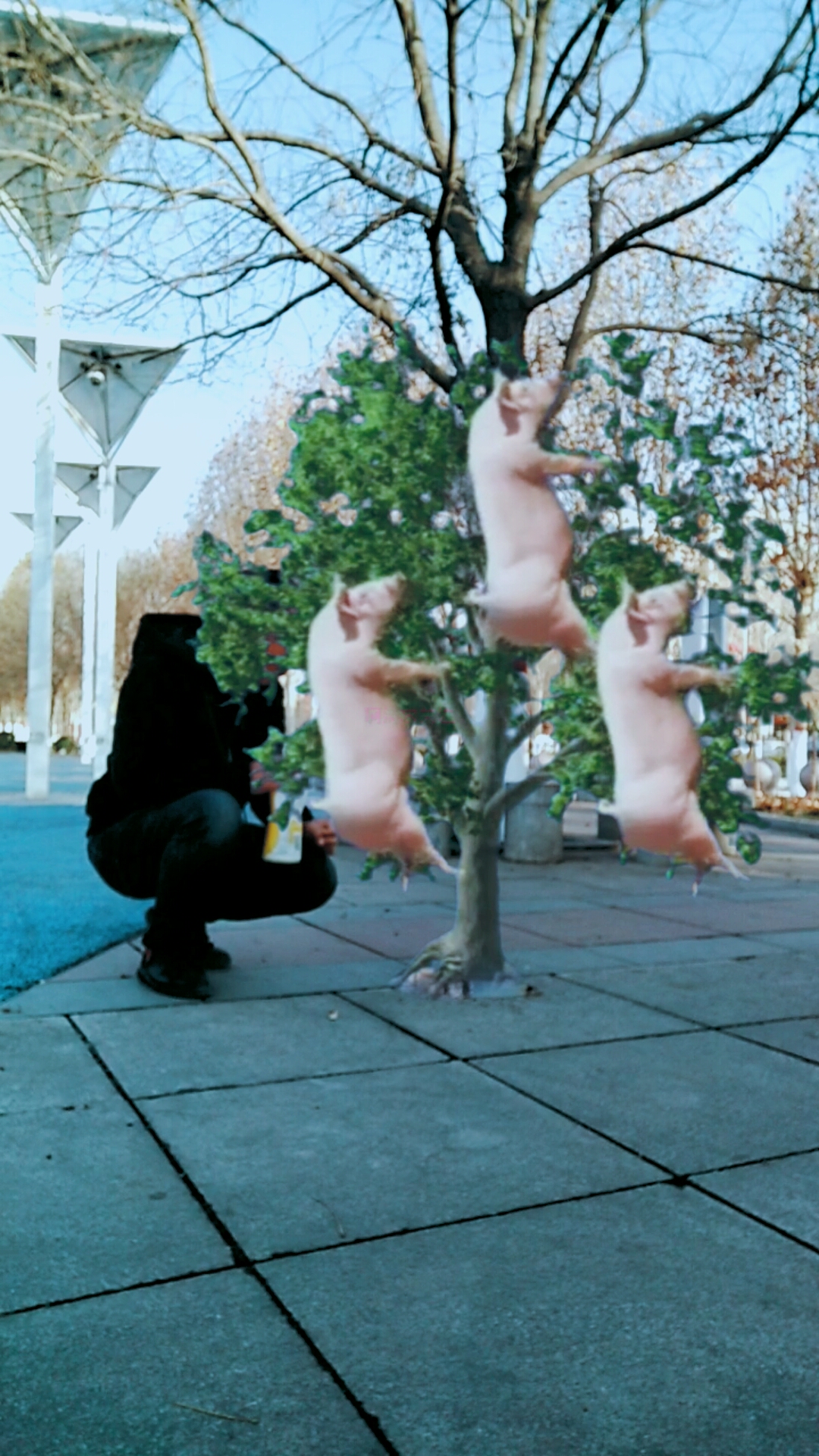 #啊涛特效#猪肉涨价了,最新研究出能种猪的树!
