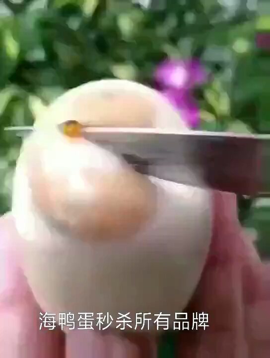 海鸭蛋秒杀所有品牌