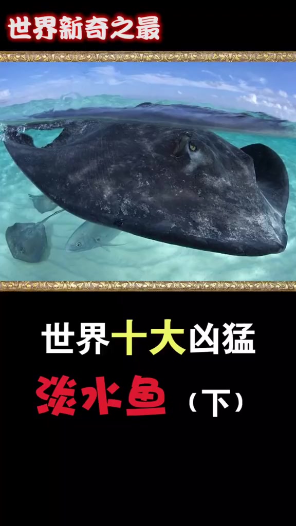 世界新奇之最:等急了吧续集来啦!食人鱼只能排第4位