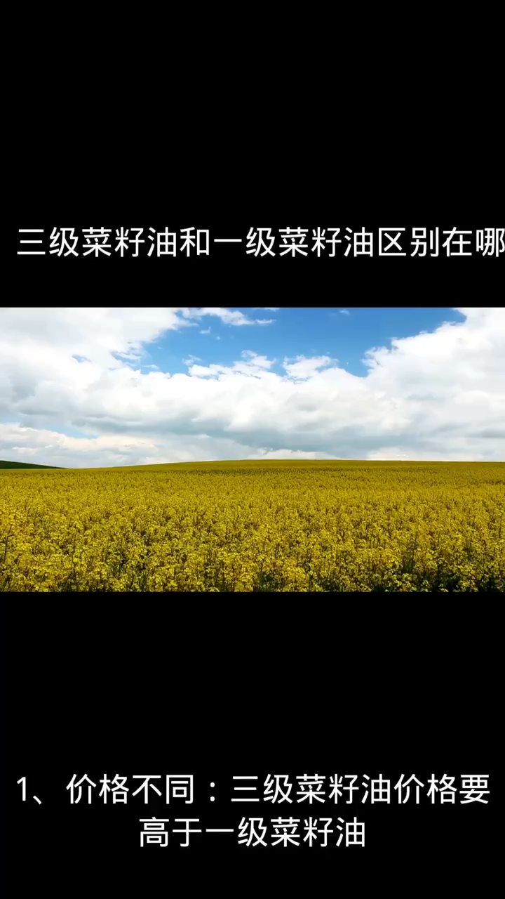 三级菜籽油和一级菜籽油区别在哪