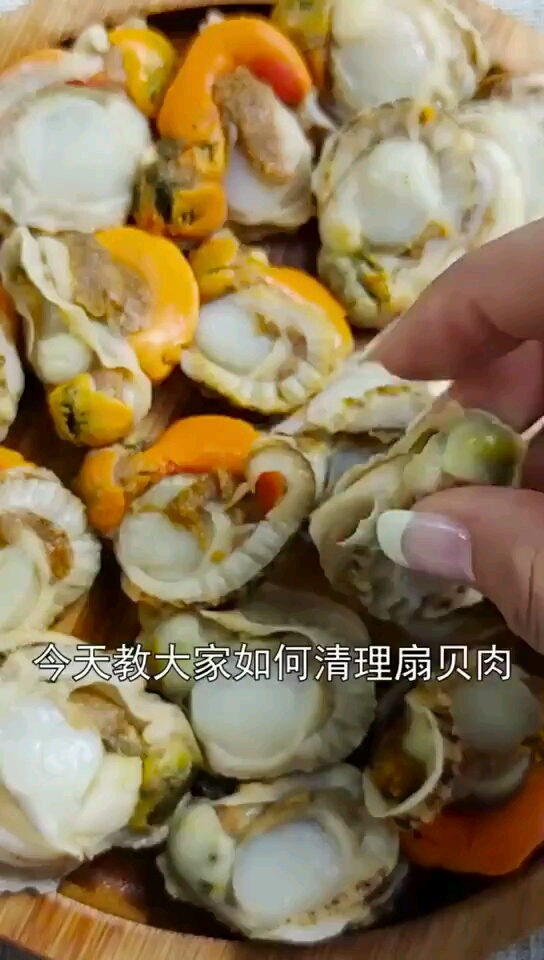 买的新鲜扇贝教大家正确的清洗方法