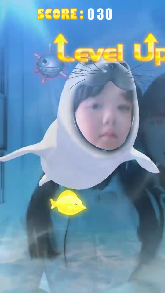 今天我是一只治愈系小丑鱼