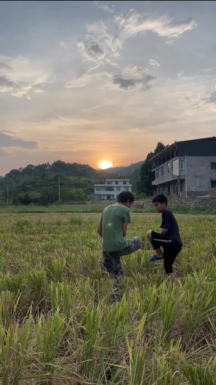 在田野里斗鸡是小时候男孩子之间常玩的游戏谁先倒地谁就输