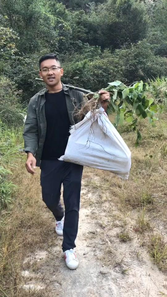 挖了点草根给老爸炖汤……#看我神走位 #农村 
