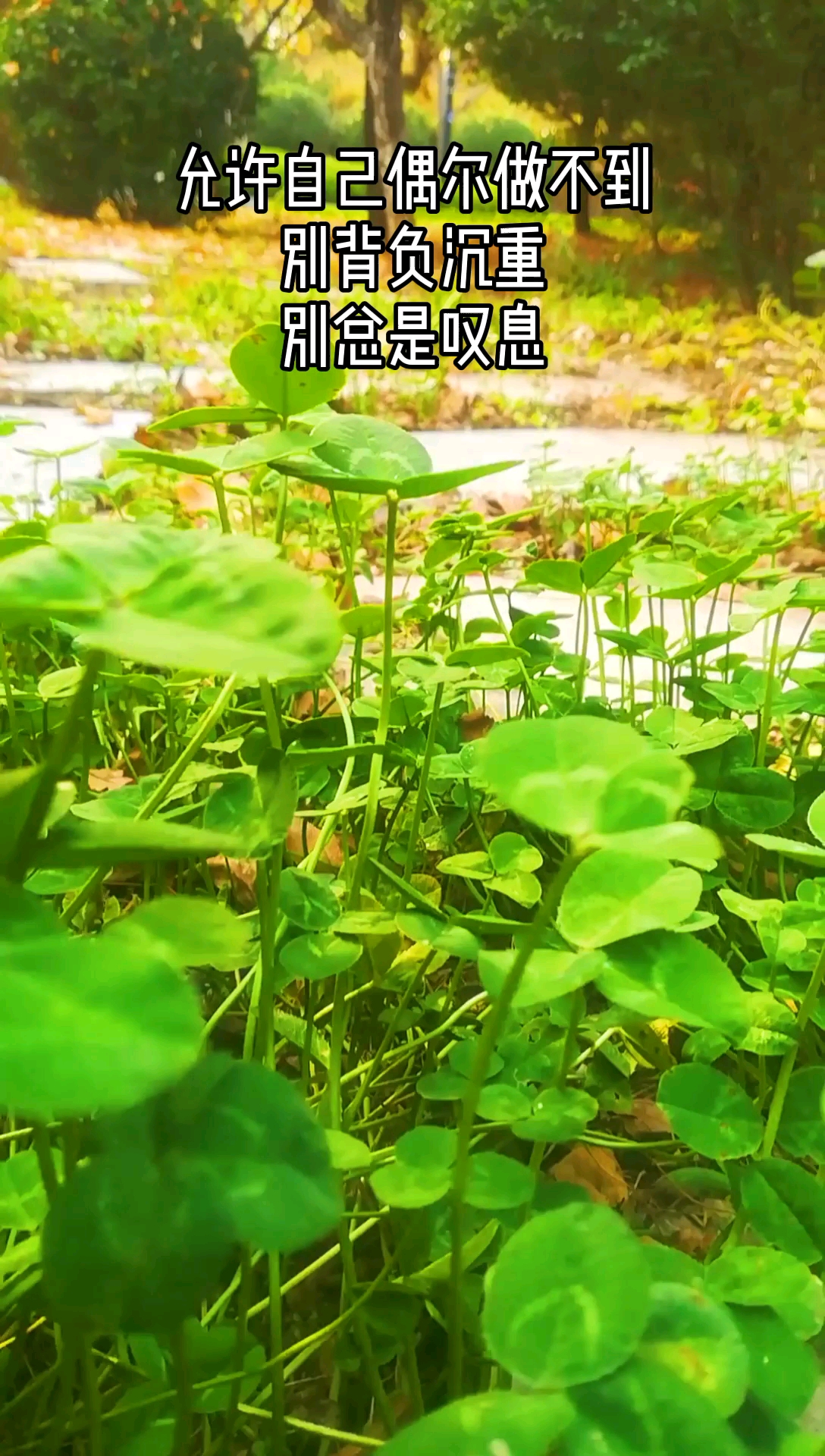 #励志心灵鸡汤语录#你要相信你配得上这个世界上所有的美好#心灵成长