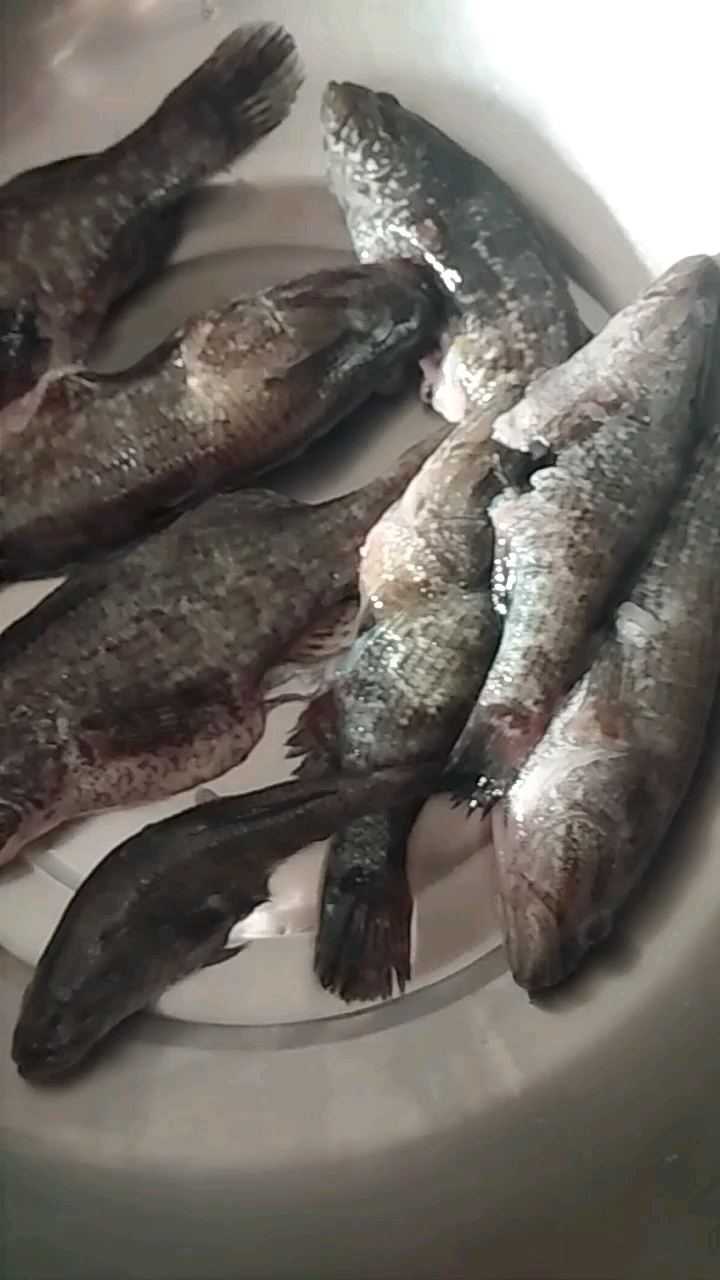 分享视频
