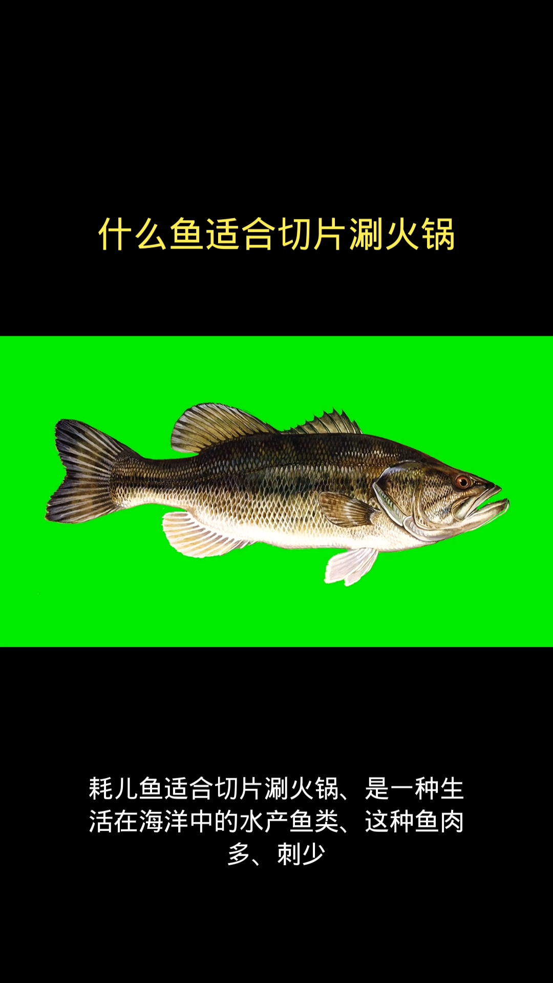 什么鱼适合切片涮火锅
