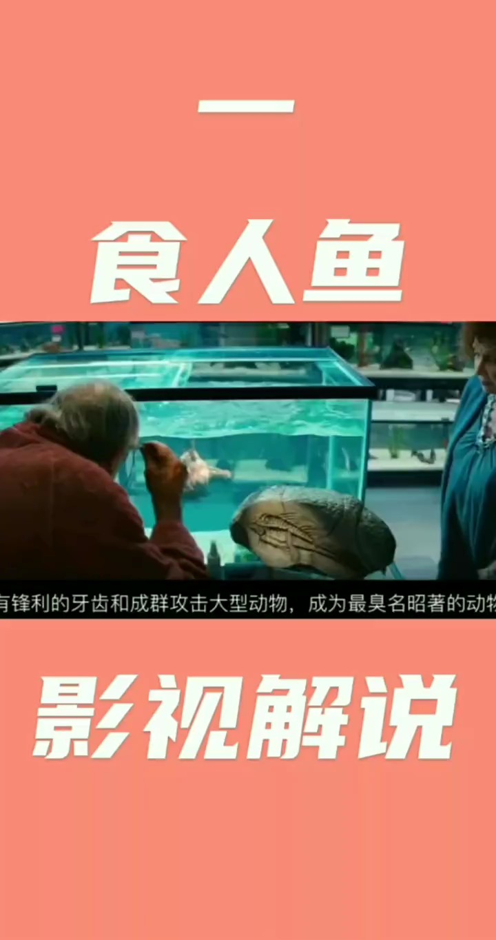 食人鱼第一集