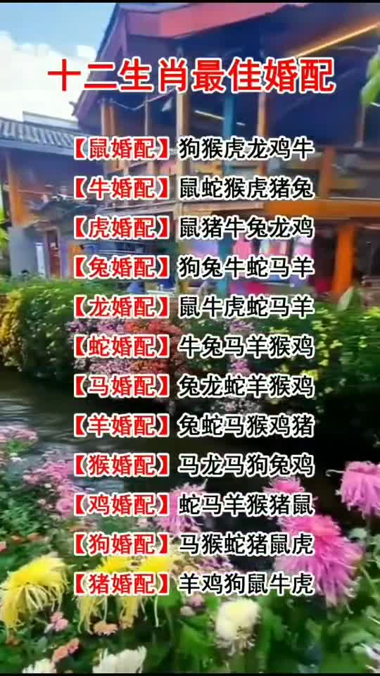 十二生肖最佳婚配