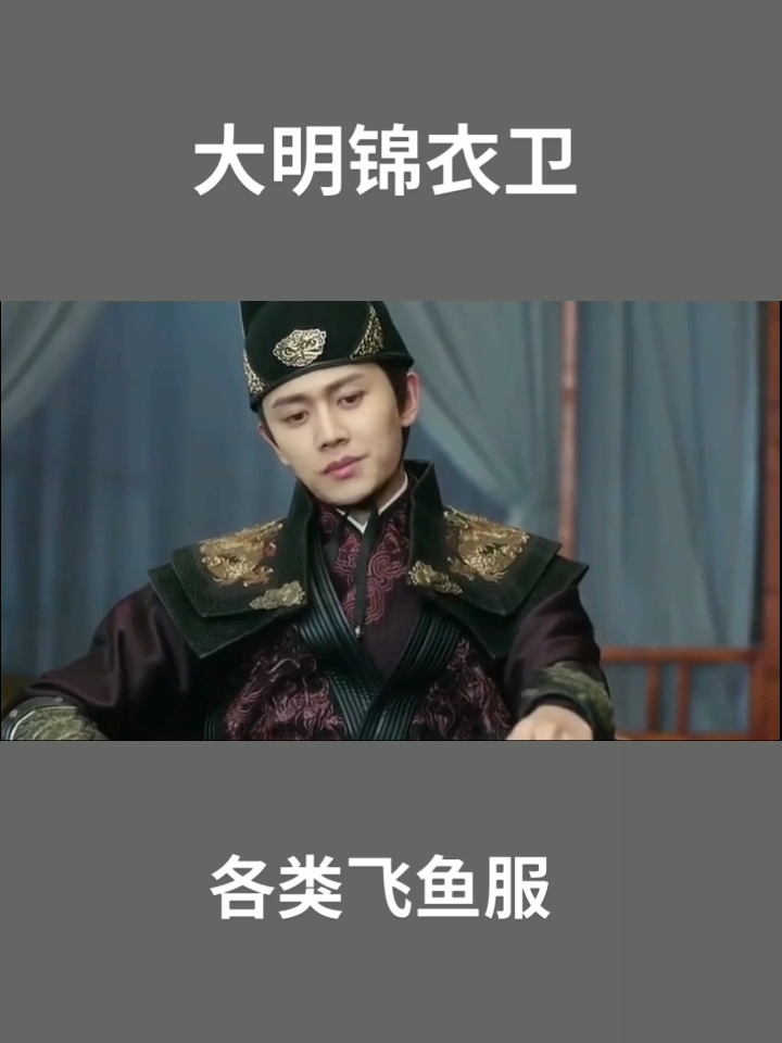 大明锦衣卫飞鱼服,最中意哪个款?