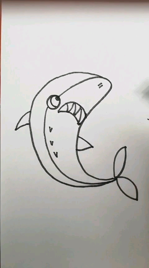 简笔画～鲨鱼