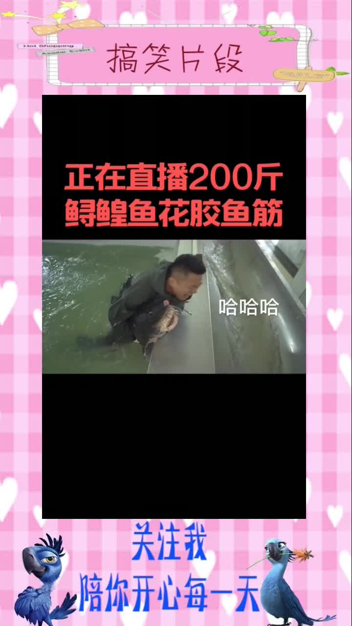 在给爸爸做饭。这个盖浇饭补啊!,搞笑视频