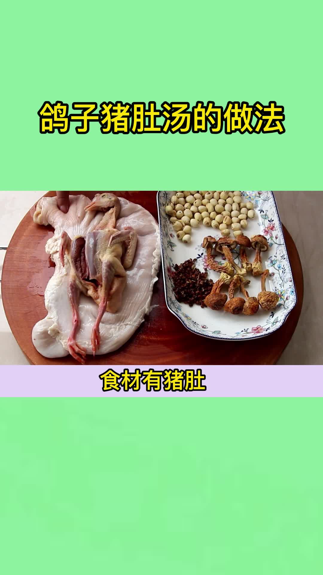 鸽子猪肚汤的做法,你理解了吗