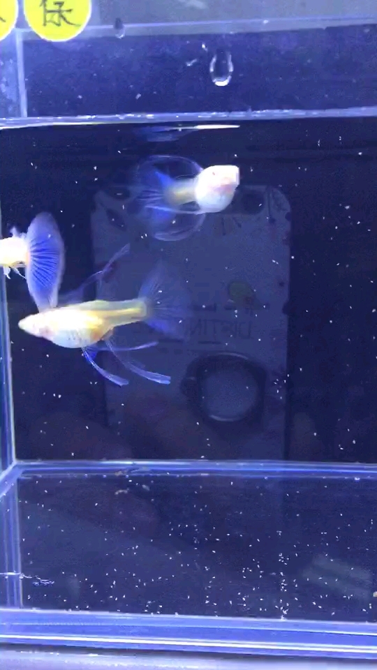 分享视频