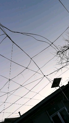 丝瓜架