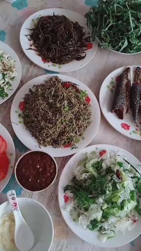 丰盛的晚餐