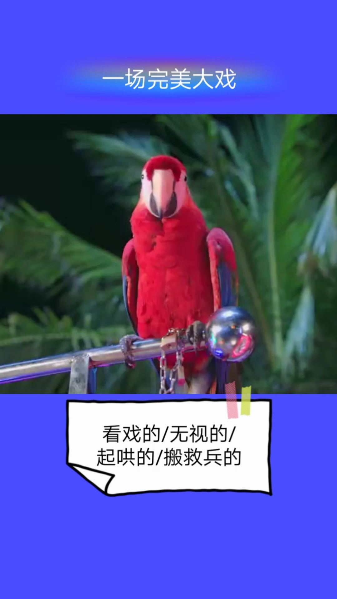 #狗#好热闹的场面哦