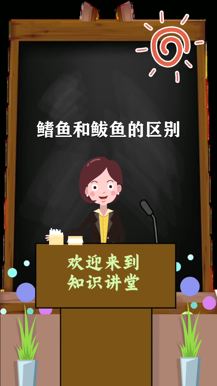 鲭鱼和鲅鱼的区别