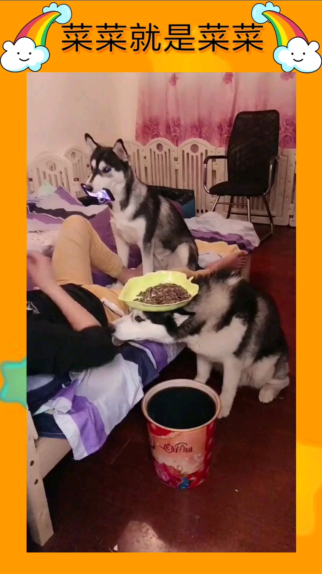你对二哈做了什么