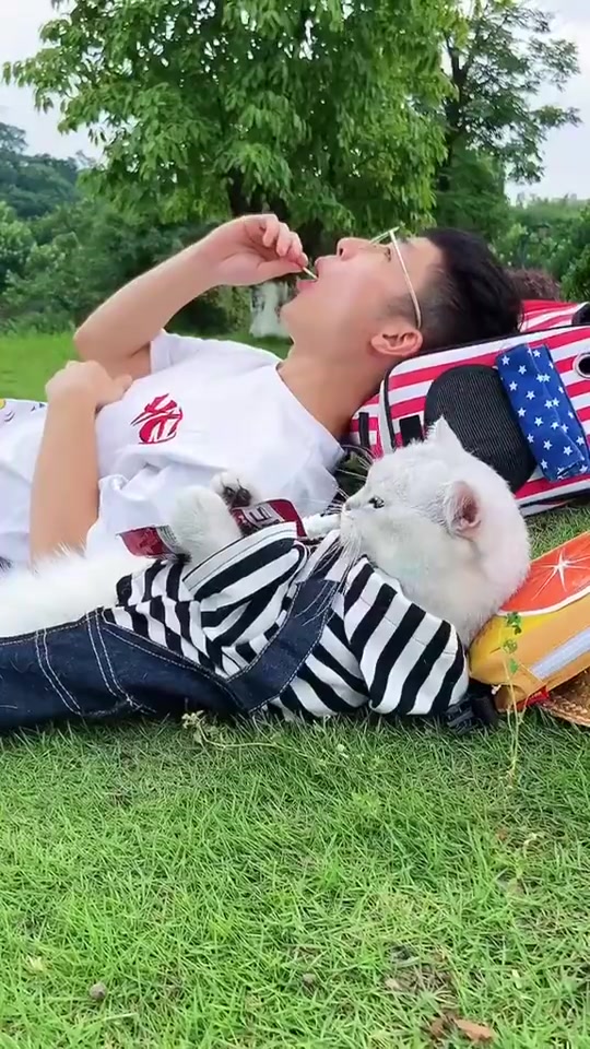 放学后不一起吃个零食能回家吗#宠物伴侣#猫咪
