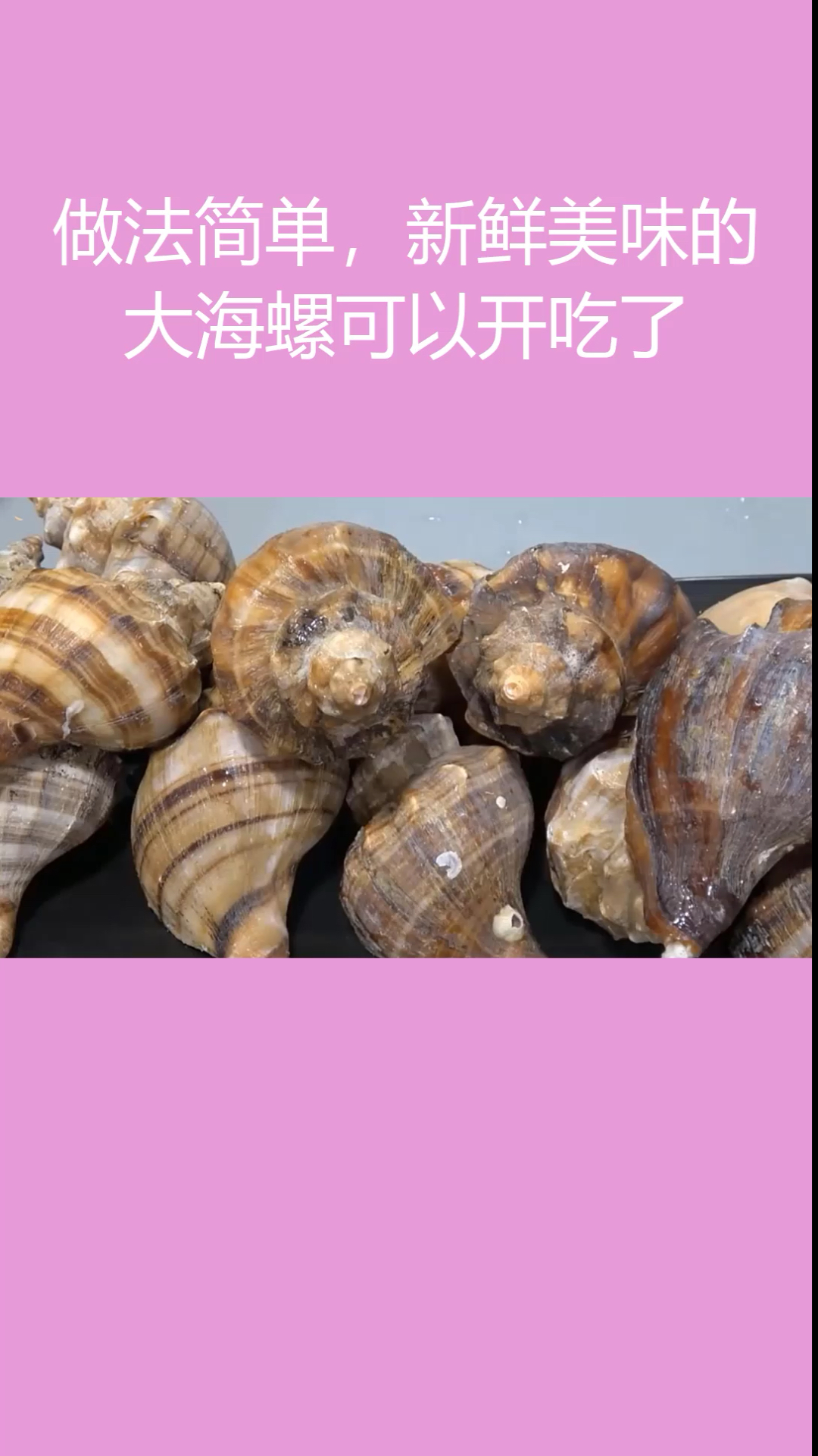 #自制美食#大海螺,做法简单,肉质鲜美、紧实有嚼劲!