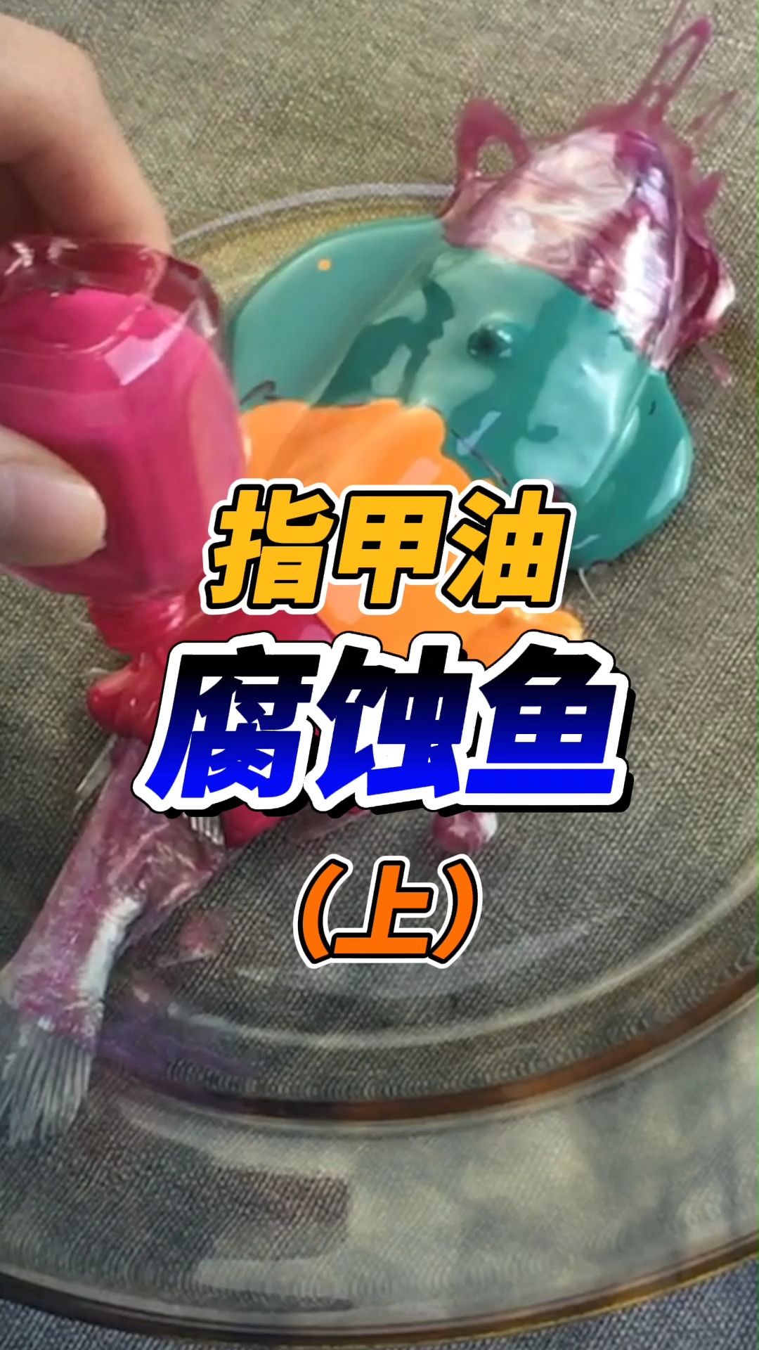 鱼:淦!想不到最后我会变成一条五花鱼