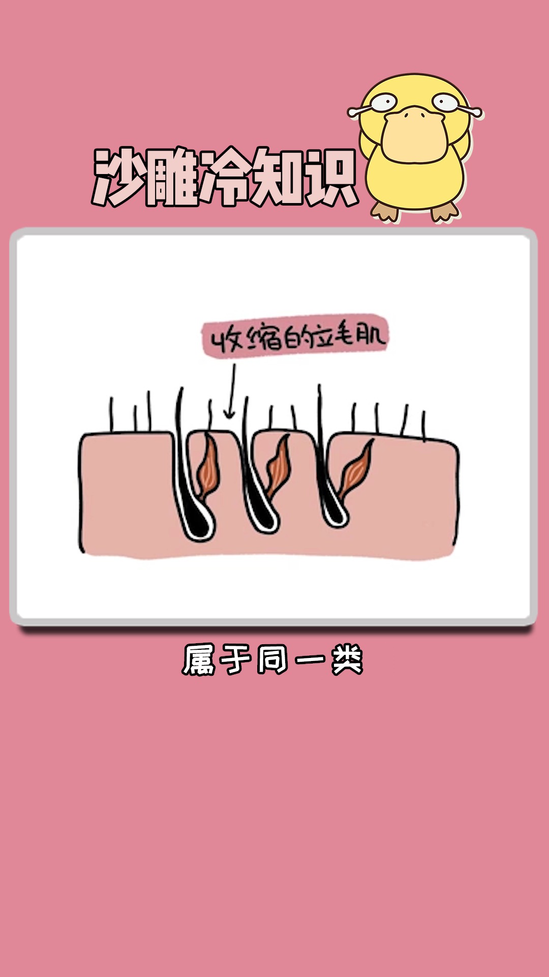 #独竖一知##好知识##好故事#人为什么会起鸡皮疙瘩?又有什么用?看完这些你就明白了