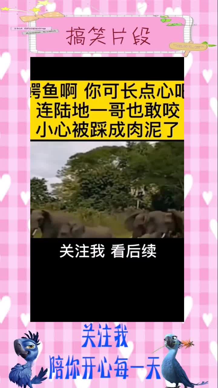 #搞笑段子#听小象的惨叫声,那可是真疼啊