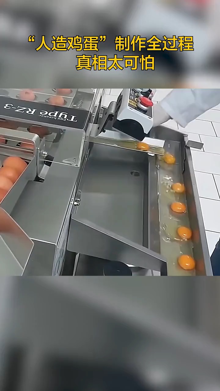 人造蛋是怎样生产的?