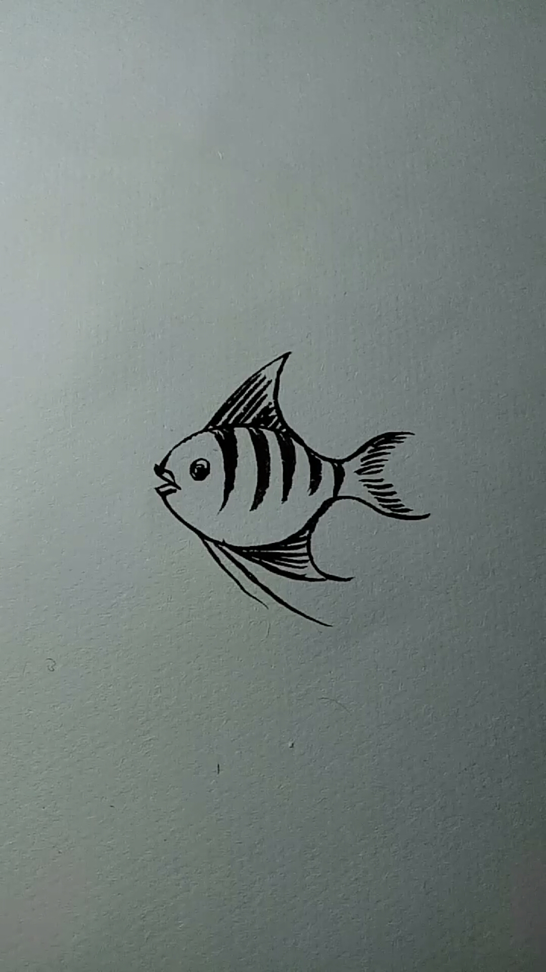 #一看就会的白描画#鱼白描画法