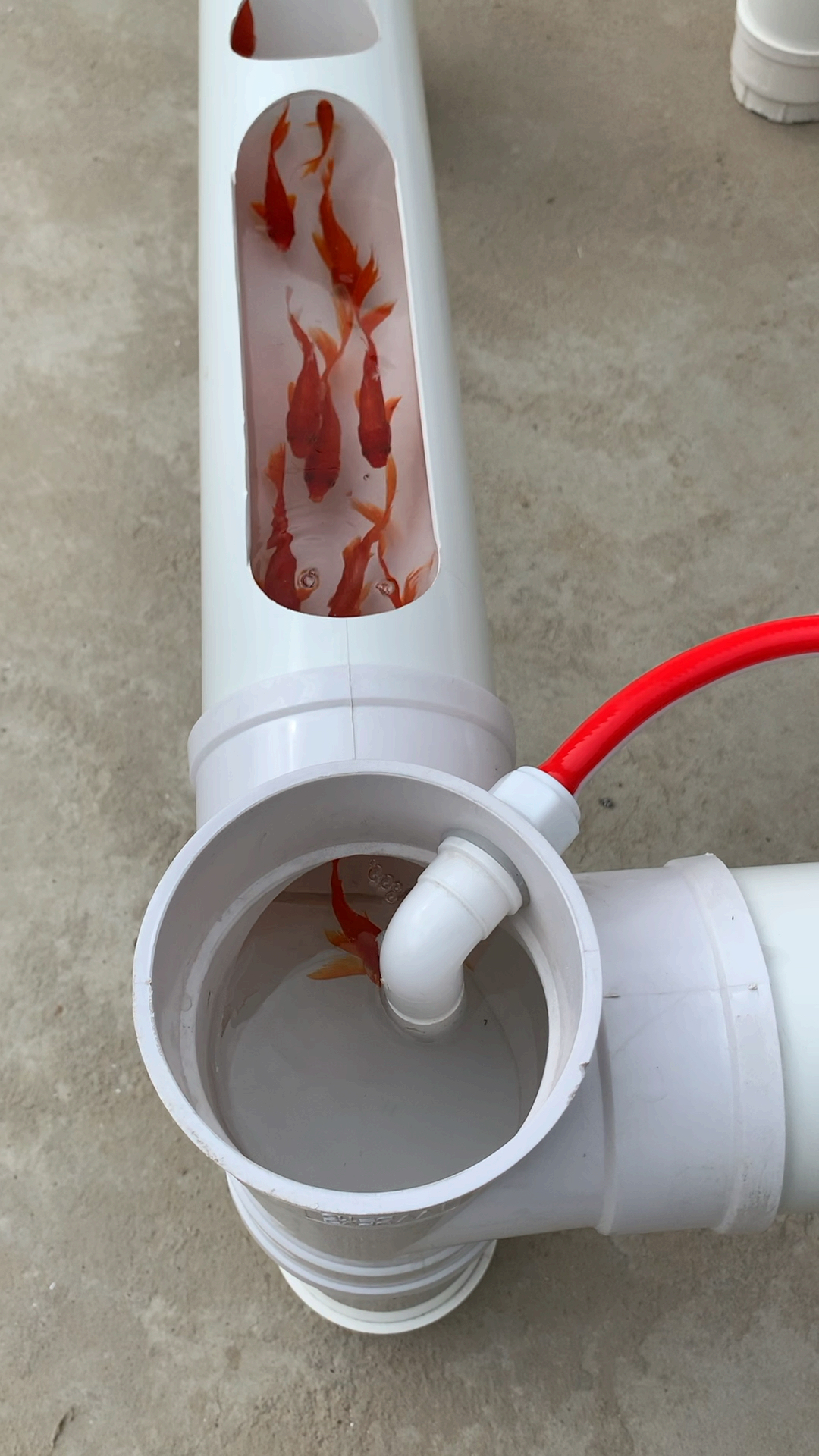 自制水管养鱼茶几