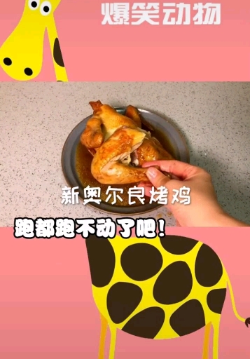 #搞笑趣事#鸡:不好!有暗器!我好想逃却逃不掉!