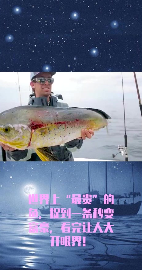 #社会奇闻#世界上“最贵”的鱼,捉到一条秒变富豪,看完让人大开眼界!
