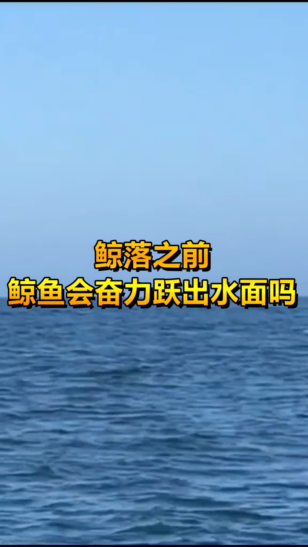 #奇趣#鲸落之前,鲸鱼会奋力跳出水面?原来是这样的