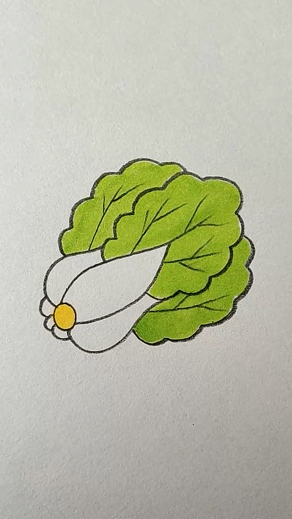 #简笔画#翠绿的招财大白菜