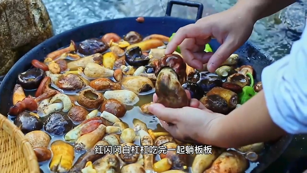 今天尝尝小鸡炖蘑菇的升级版,老母鸡炖野生菌,简直绝了