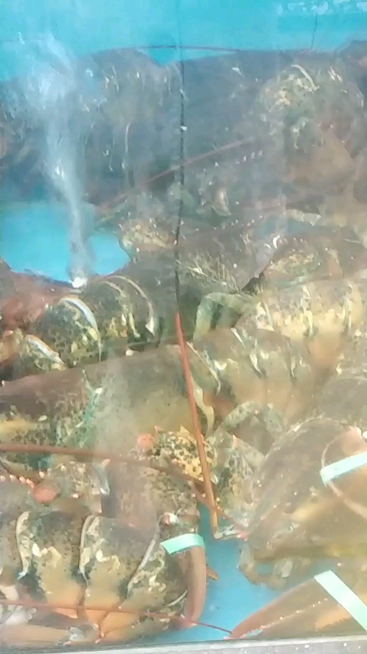 分享视频