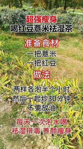 #赵孟楷书#聪明人才能看懂。